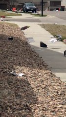 Strong Wind Sends Trash Flying