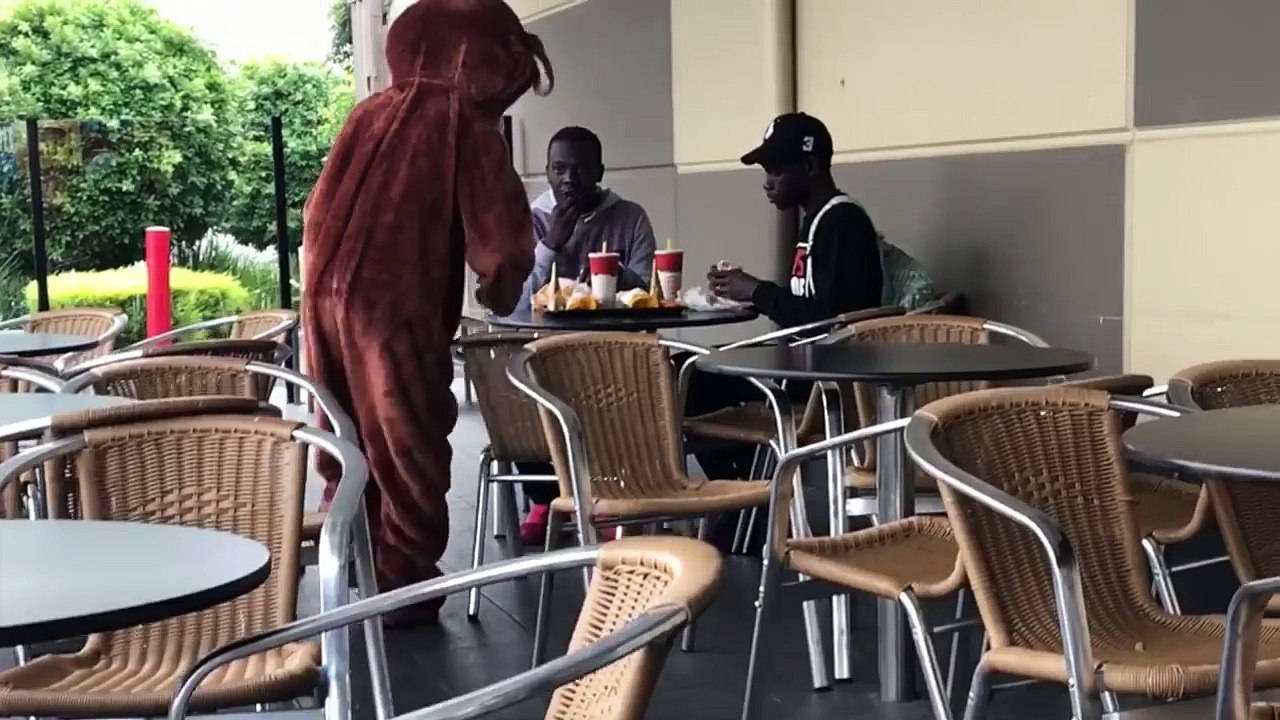 ABUSIVE BEAR PRANK