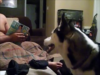 Ce chien est terrifié par... Julia Roberts!