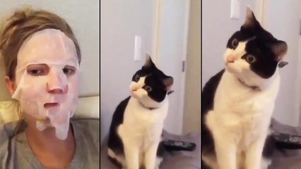 Un chat regarde une fille avec un masque sur son visage
