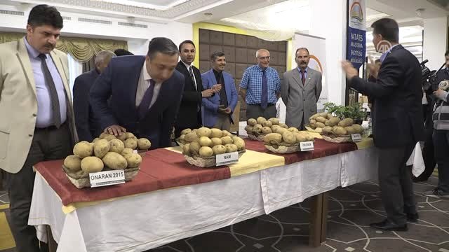 Yerli Üç Patates Tohumunun Daha Satışı Yapıldı