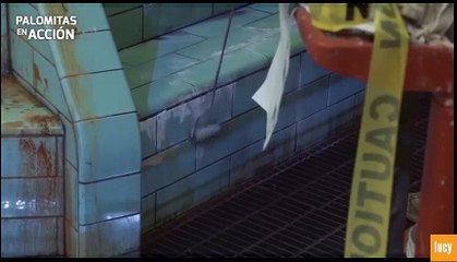 La Forma Del Agua - Detrás de cámaras