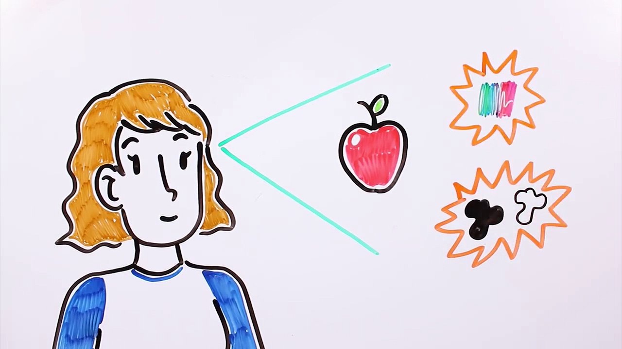 ¿CÓMO VEN LOS ANIMALES?  | Draw My Life