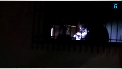 Perícia com luminol em Linhares