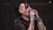 Marilyn Manson ft. Rammstein - The Beautiful People [Live ECHO Awards 2012]
