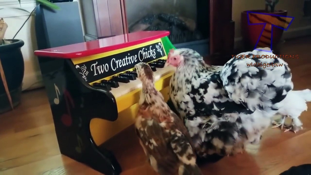 FUNNY ANIMALS_ Try not to LAUGH - The FUNNIEST ANIMAL videos