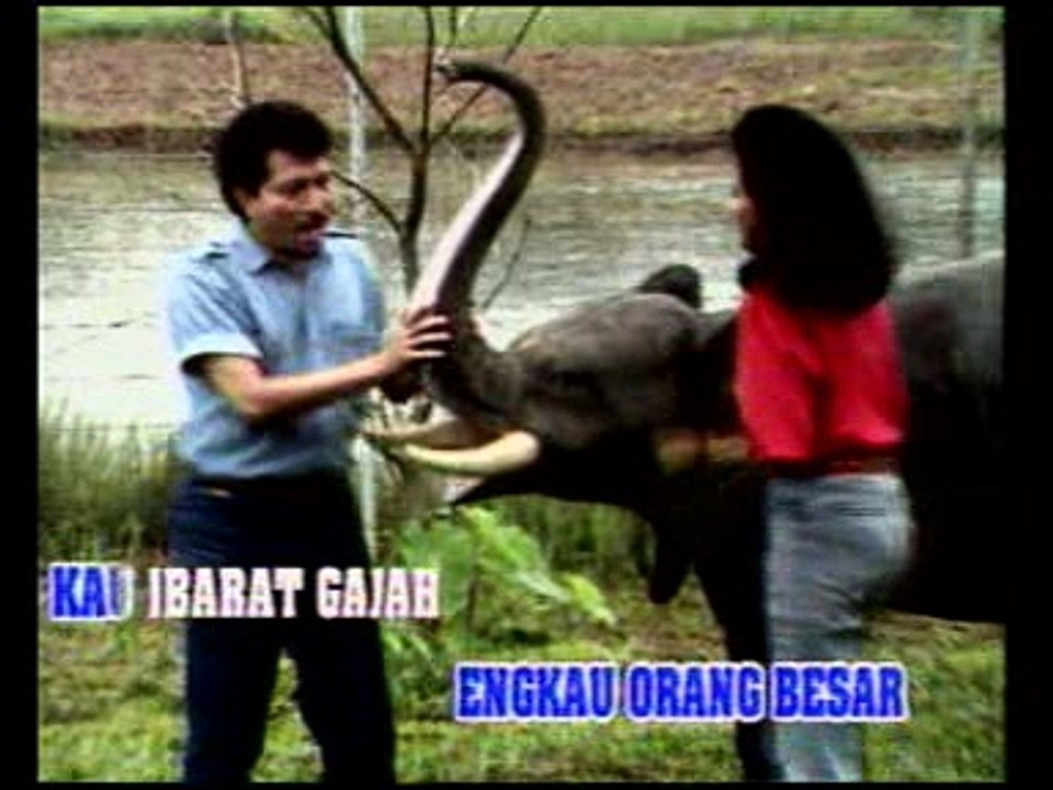 AKU SEMUT MERAH#MEGGI Z#DANGDUT#LEFT