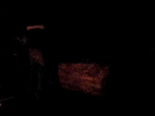 Feu o gro arbre avec gro rondin