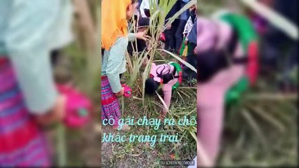 VẪN LÀ TỤC KÉO VỢ CỦA NGƯỜI H'MÔNG, MẶC CHO CÔ GÁI KHÓC LÓC NỨC NỞ