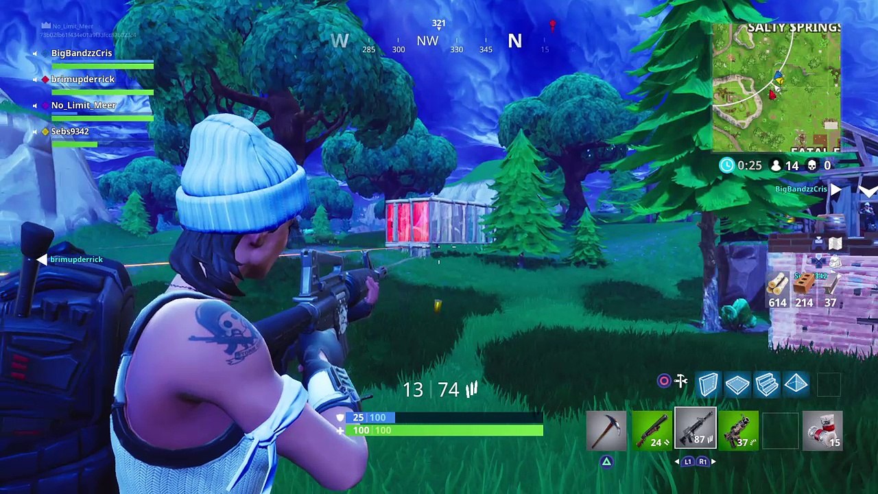 Fortnite Funny 2