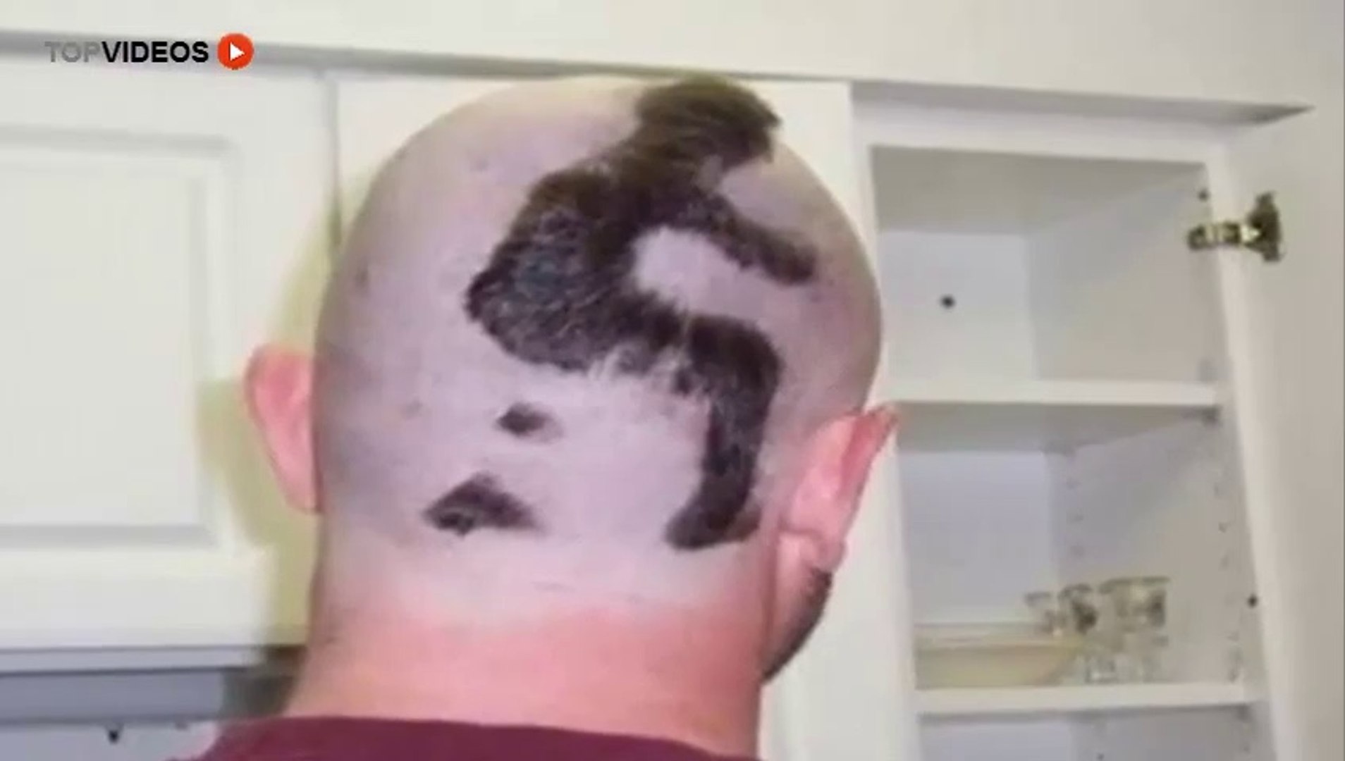 Cortes De Pelo Raros