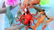 Learn Names Of SEA ANIMALS-Preschool Children Fun- Sea Animal Toy Unboxing-Shark Toys,Whale,Crab