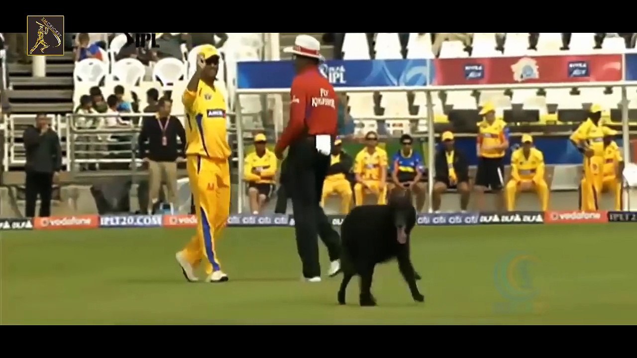 Players Vs Umpires Worst Fight in Cricket History _ SM Cricket.part 2