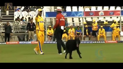 Players Vs Umpires Worst Fight in Cricket History _ SM Cricket.part  2