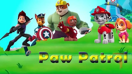 Paw Patrol - Transforming Superheroes Hulk Ironman Captain America Thor by Toys Kids