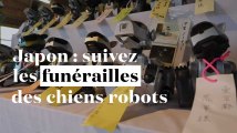 Japon : suivez les funérailles des chiens robots