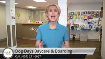 St Paul Dog Daycare & Boarding Terrific 5 Star Review