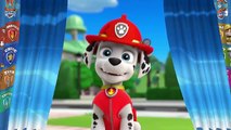 Colors for Children Learn with Color Paw Patrol Ryder | Color Ryder Learn Colors for Kids Videos 2