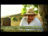 Colombian-Venezuelan llano work songs