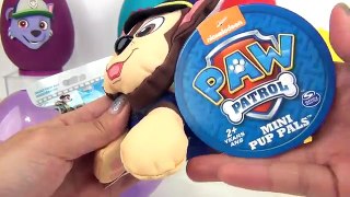 Paw Patrol Play-doh Eggs Full Set of Charers