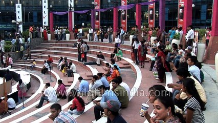Mass dog wedding - It happens only in India