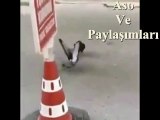 Kürtçe Dublaj Eyşe Öpücükeki Bıdemın.Aso ve Paylaşımları