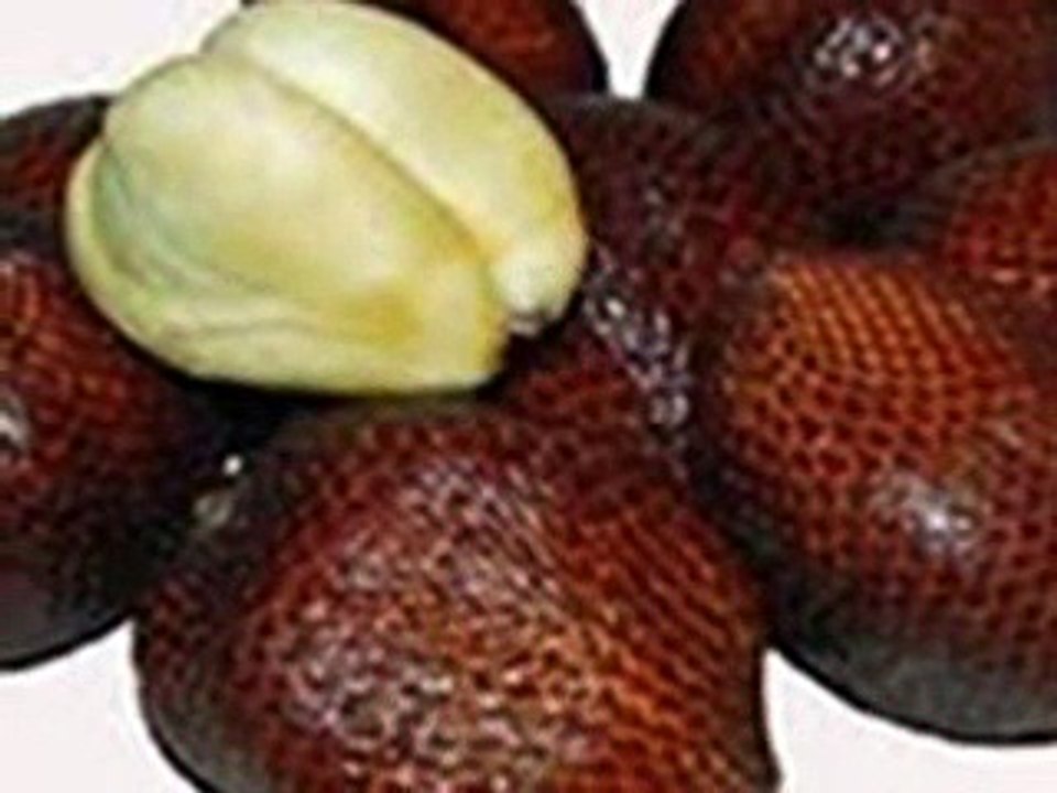 10 Manfaat Salak untuk Ibu Hamil yang Sehat