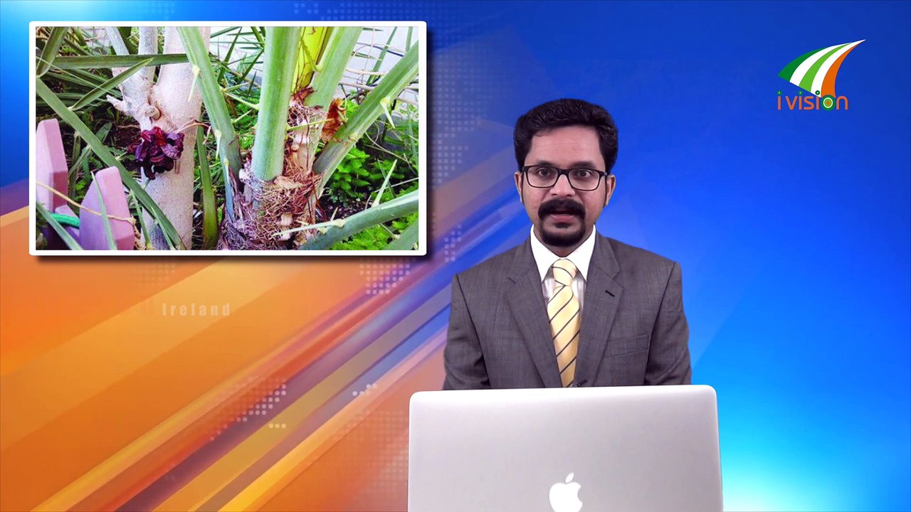 ആകാശം കണ്ടുകൊണ്ട് ഒരു റെയിൽ യാത്ര പരീക്ഷണം കാശ്മീരിൽ Ivision Ireland News 15