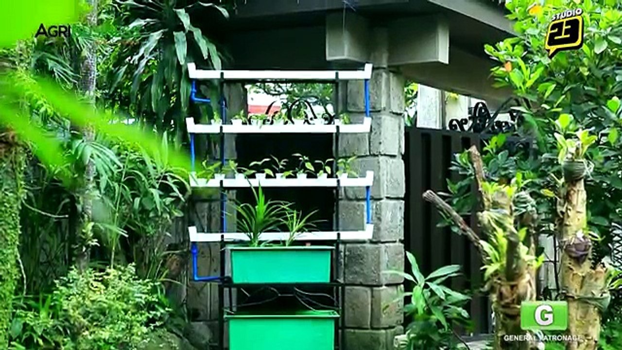 Aquaponics Part 1 : Aquaponics in the Philippines | Agribusiness Philippines