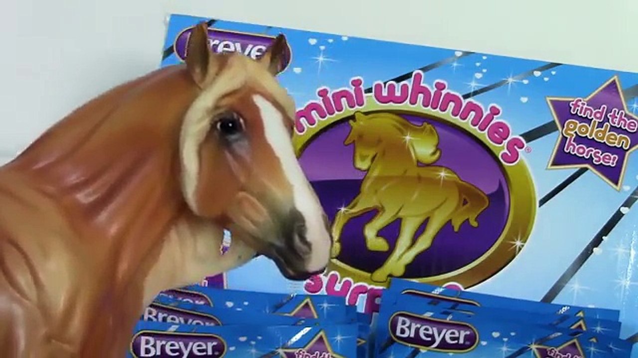 Truth About The Golden Mini Whinnie - Blind Bag Contest