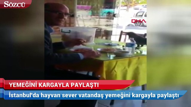 Hayvan sever vatandaş yemeğini masasına gelen kargayla paylaştı