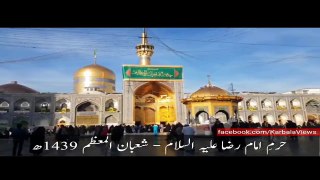 Haram e Imam Raza (as) - Holy Month of Shaban 1439 - 2018
