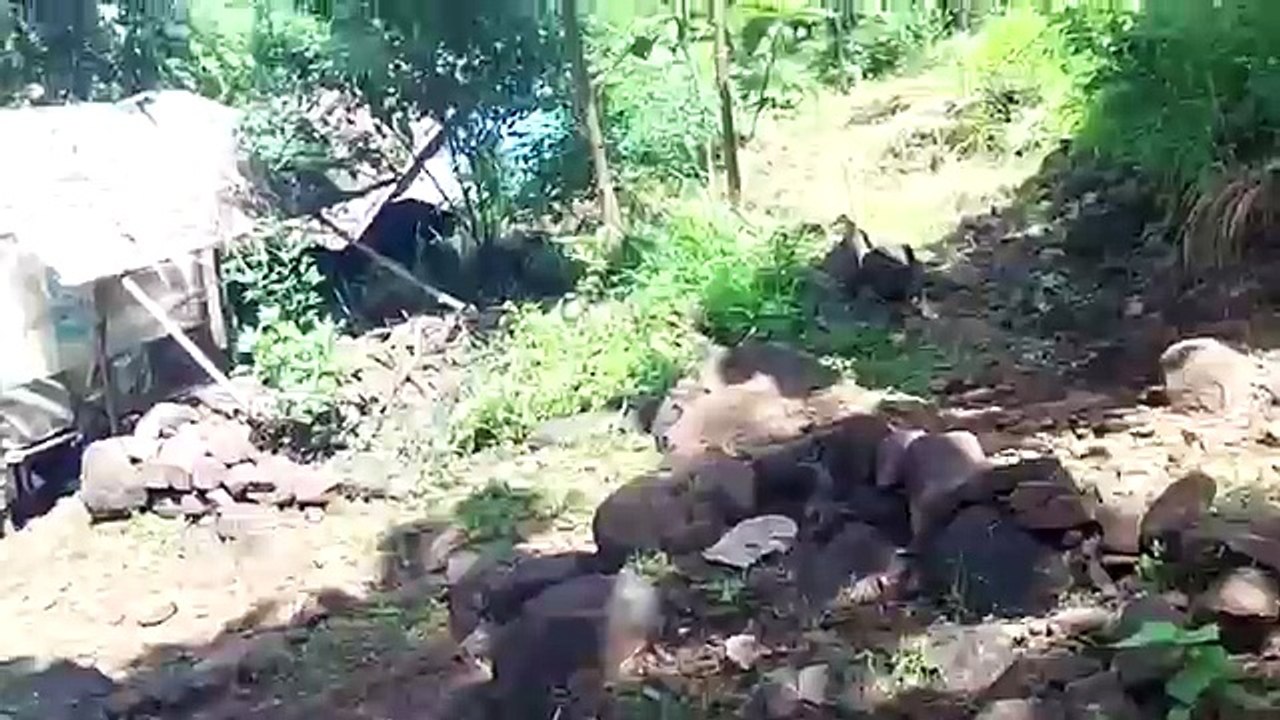 Top 10 Scariest Ghostly Videos And Recordings| Worlds Scariest Ghosts Caught On Tape