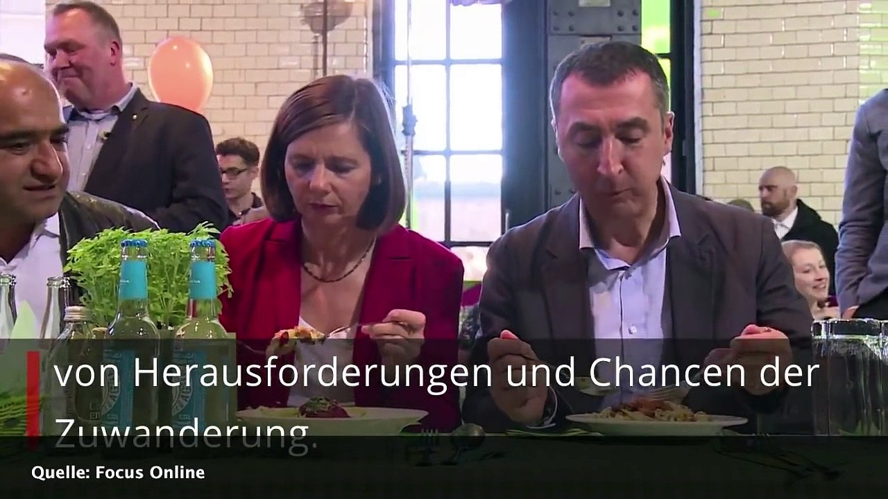 Grüne bewerten Arbeit der AfD - Deutschland geht es ja so gut und Frau Höchst düpiert FDP
