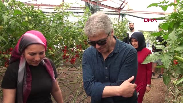 Antalya Cengiz Kurtoğlu Sera Gezip, Domates ve Salatalığın Tadına Baktı