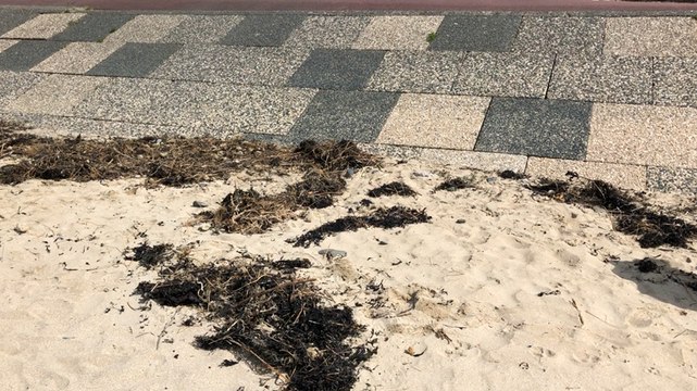 Action « plage et mer propres »