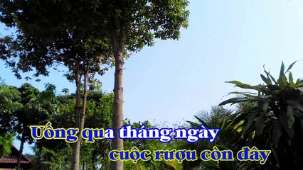 [Karaoke] ĐẮP MỘ CUỘC TÌNH - Vũ Thanh (Giọng Nam: Dm)