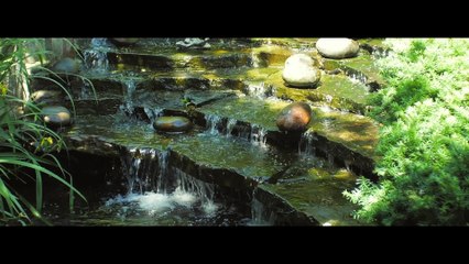 Davis Mallory - Because of Love