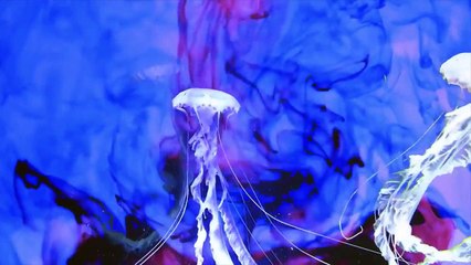 Davis Mallory - Ocean Blue