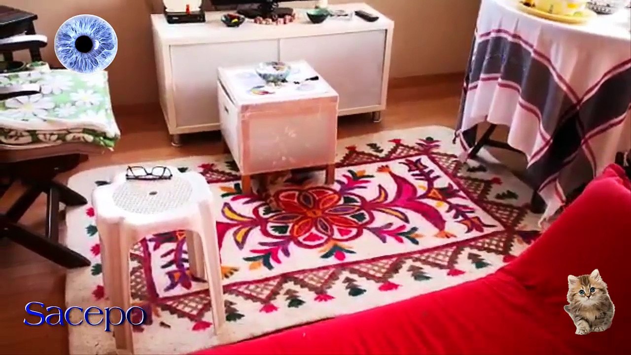 KEDİMİN OYUN ZAMANI