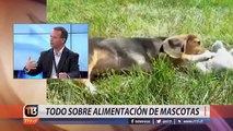  ¿Sabes cuál es el alimento ideal para tu mascota? Esto y mucho más lo comentamos con el veterinario Axel Haleby.¡Deja tus preguntas y comentarios! Los respo