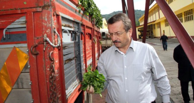 ÇAYKUR Genel Müdürü Sütlüoğlu İstifa Etti