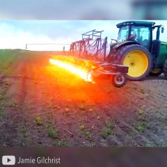 Une méthode incroyable pour lutter contre les mauvaises herbes
