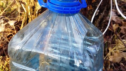 Juz Jest!!Pyszny sok z brzozy