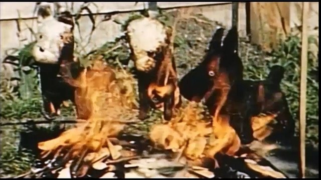 Einsatzgruppen - Escuadrones de la muerte nazis - Parte 4
