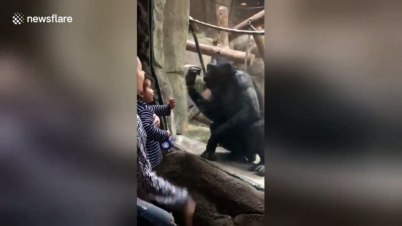 Un singe et une maman !
