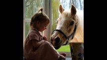 Cute And funny horse Videos Compilation cute moment of the horses Soo Cute! #24