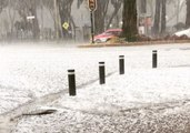 Mexico City Pelted by Sudden Spring Hailstorm