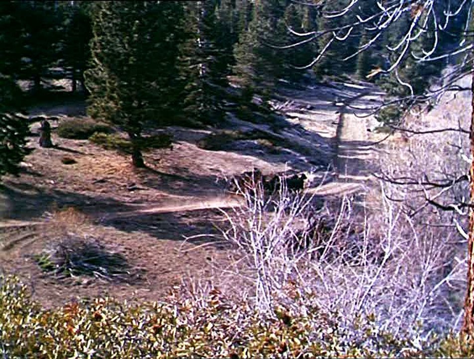 S03E31 - Mitgift fuer Miss Dubois