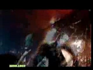 Ave Fénix SIlver Fist